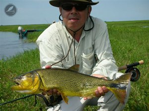 Imagen de Pescadores